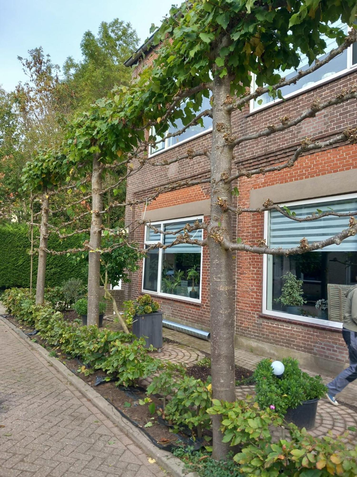 Klooster Achthuizen Bed & Breakfast Eksteriør bilde